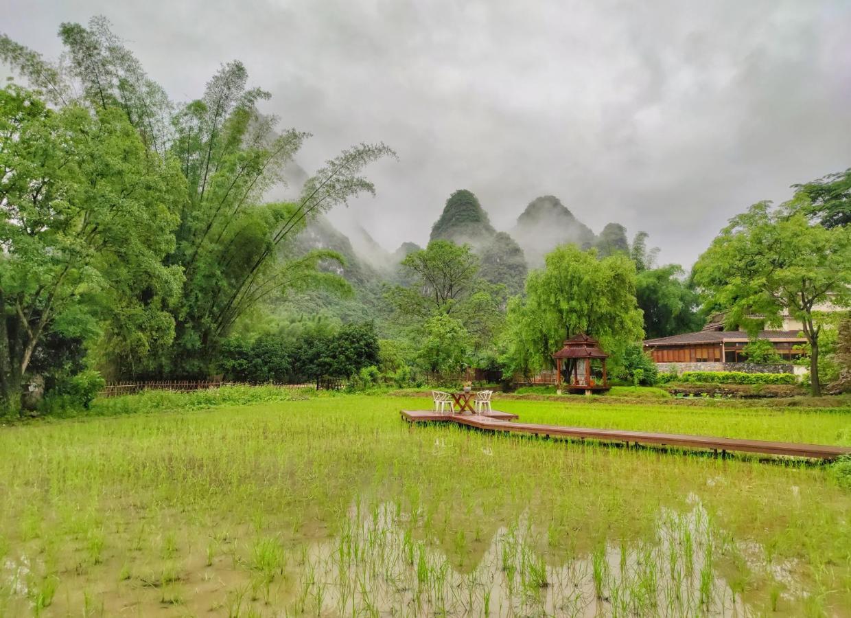 The Apsara Lodge หยางซั่ว ภายนอก รูปภาพ