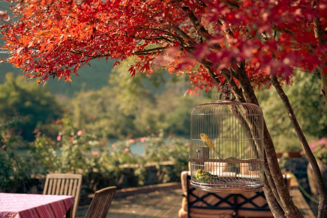 The Apsara Lodge หยางซั่ว ภายนอก รูปภาพ