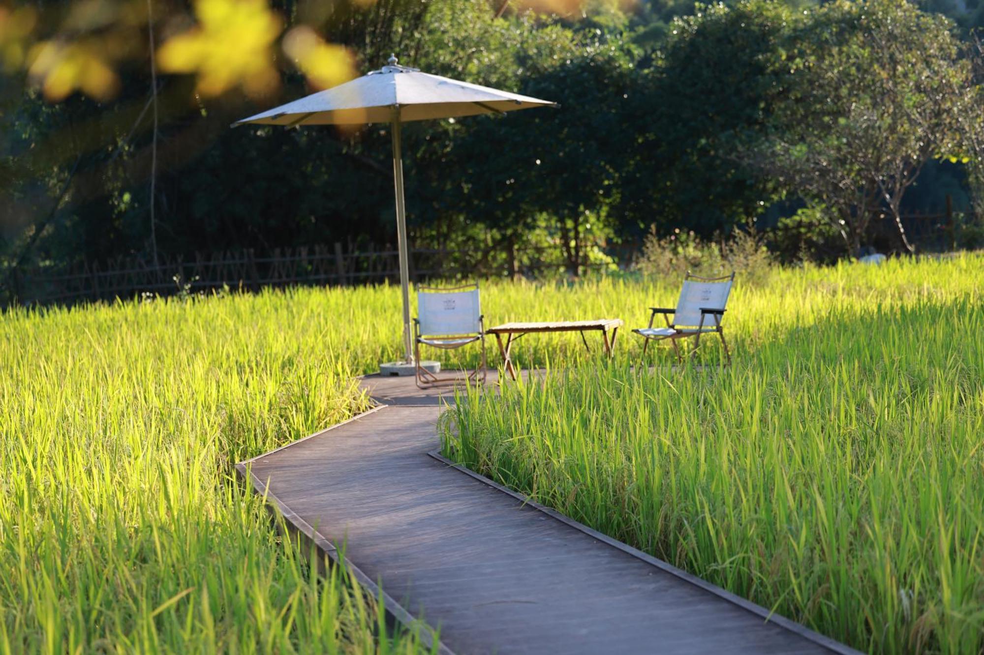 The Apsara Lodge หยางซั่ว ภายนอก รูปภาพ