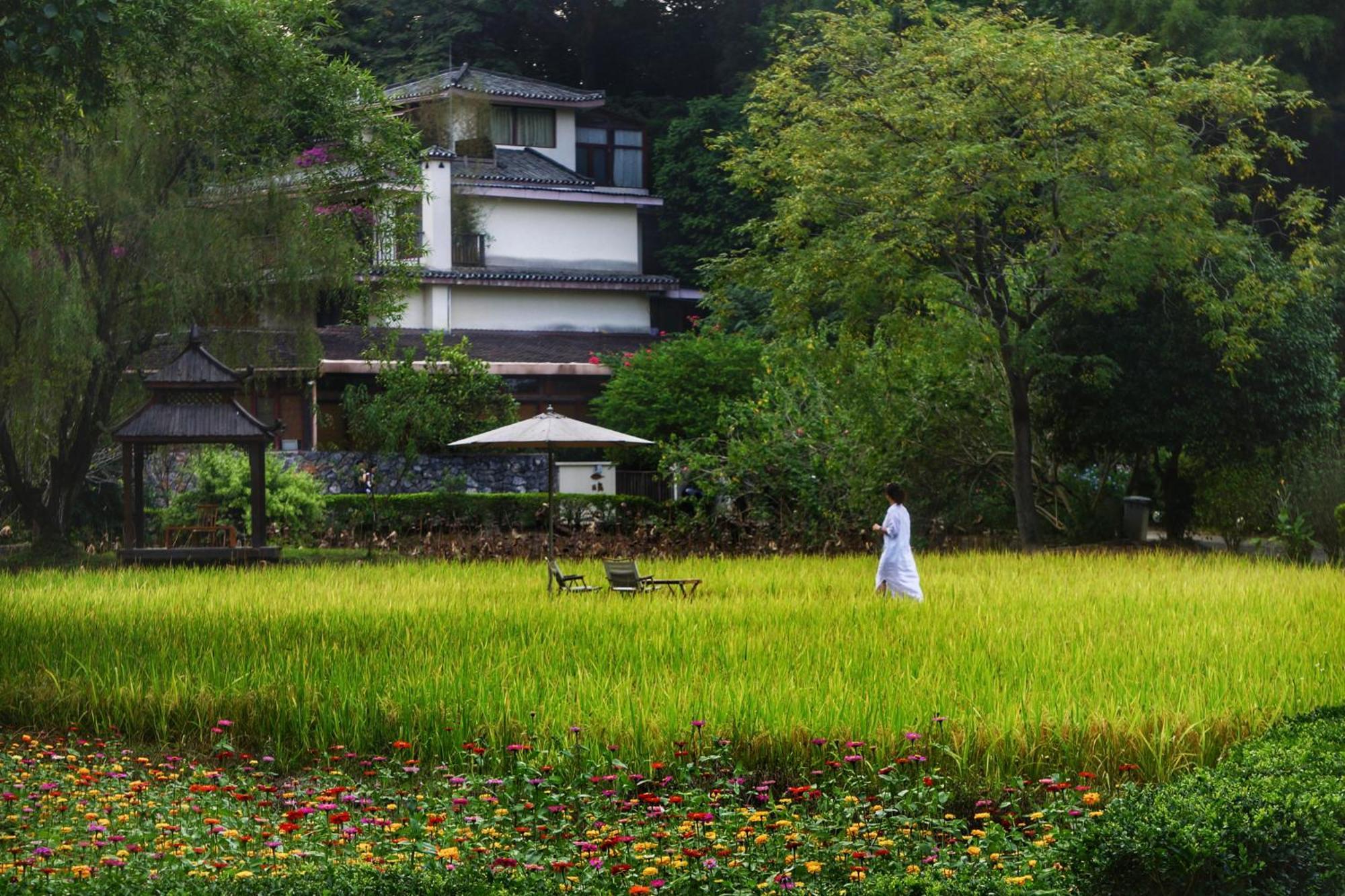 The Apsara Lodge หยางซั่ว ภายนอก รูปภาพ