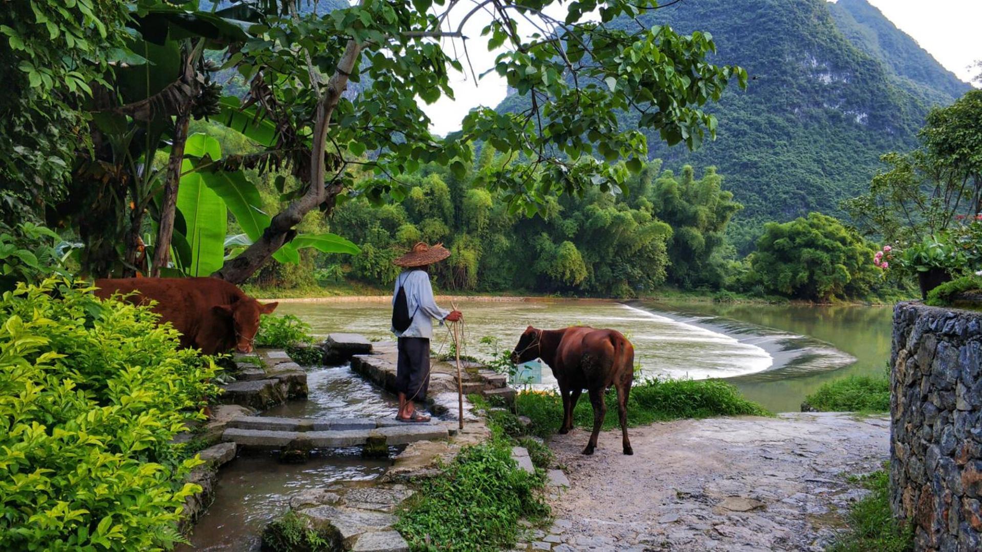 The Apsara Lodge หยางซั่ว ภายนอก รูปภาพ