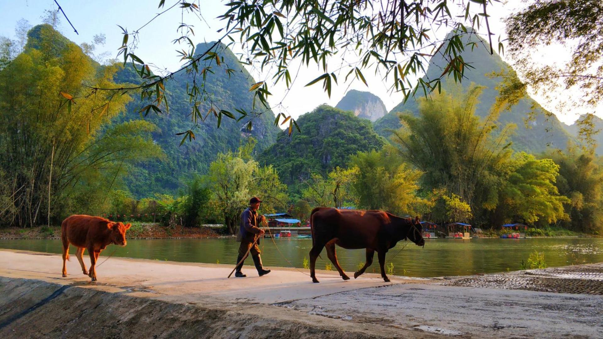 The Apsara Lodge หยางซั่ว ภายนอก รูปภาพ