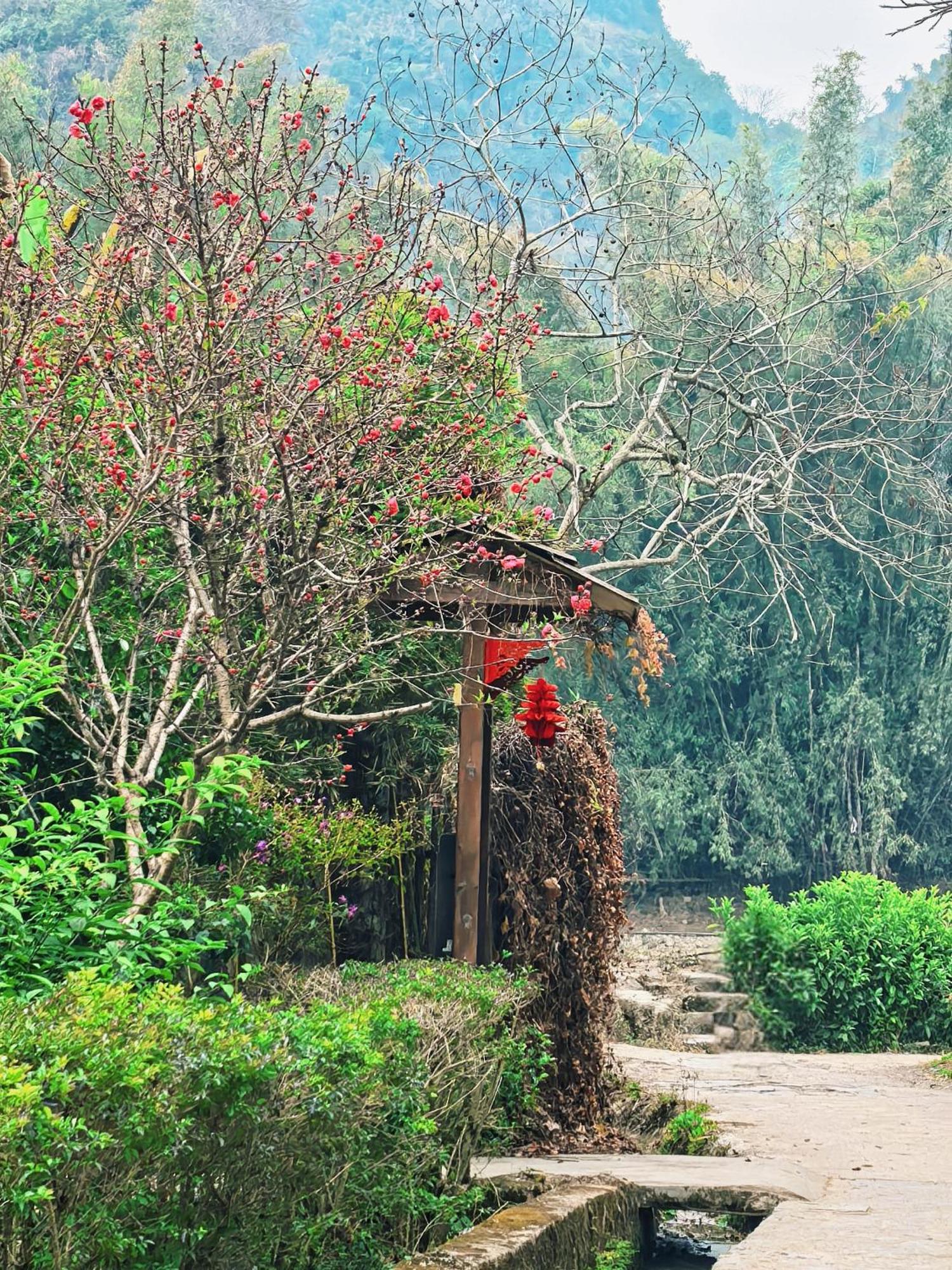 The Apsara Lodge หยางซั่ว ภายนอก รูปภาพ